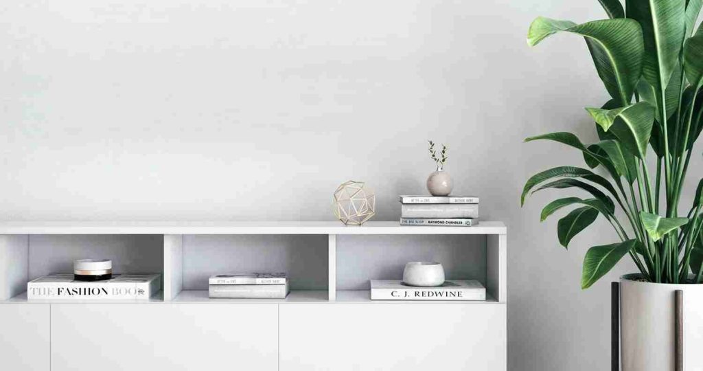 Floating white sideboard with open shelving and a large houseplant in a decorated interior