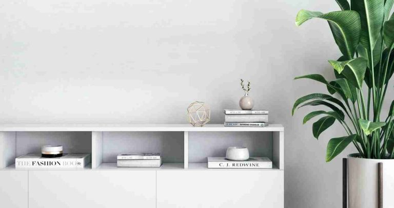 Floating white sideboard with open shelving and a large houseplant in a decorated interior