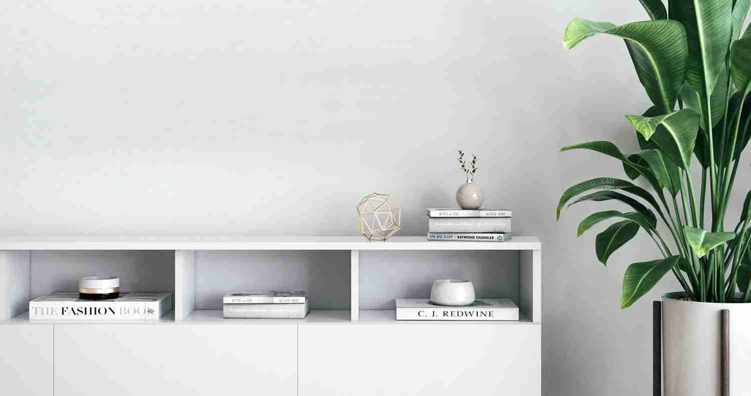 Floating white sideboard with open shelving and a large houseplant in a decorated interior