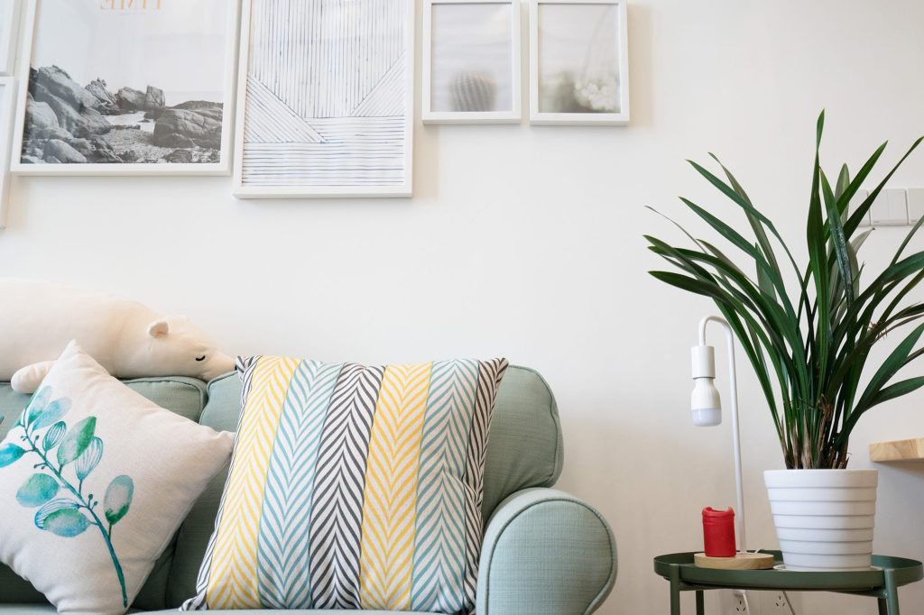 Living room corner with sofa, cushions and houseplant after professional interior decorating